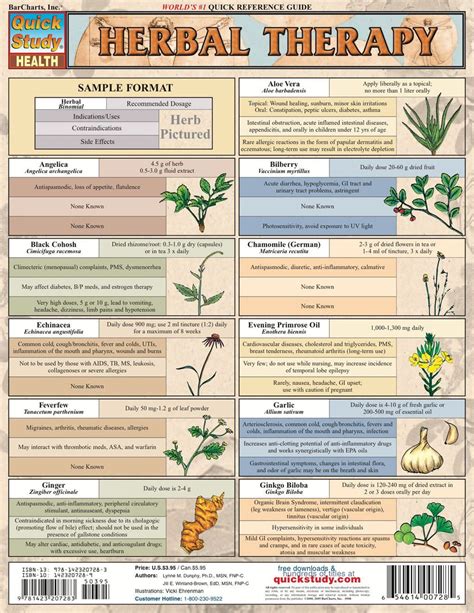 Herbal Therapy Ebook Herbal Therapy Herbal Medicine Herbalism