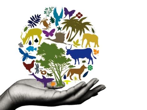 Giornata Mondiale Della Biodiversità 2021 Fondazione Dieta Mediterranea