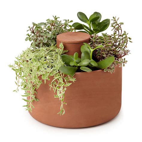 Self Watering Herb And Succulent Planter The Green Head