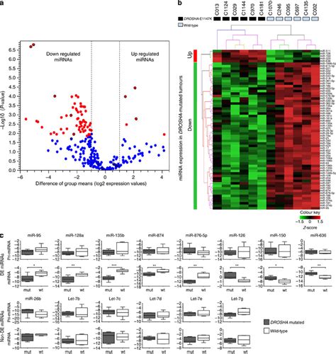 Comparison Of Mirna Expression Levels Of Six Drosha E1147k Mutated And