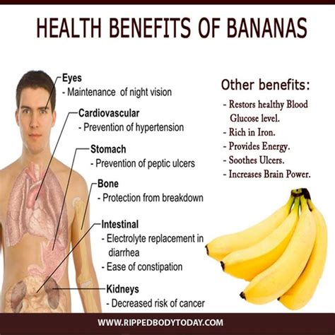 Health And Fitness Benefits Of The Banana Hubpages