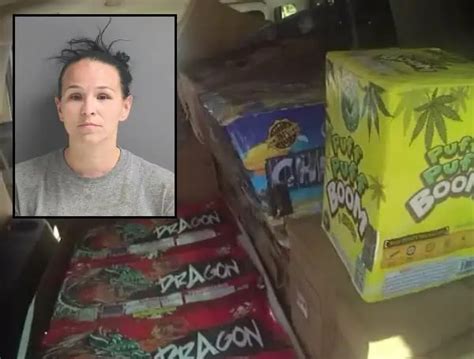 Florida Woman Charged Stealing Over 14k In Fireworks From Her Employer