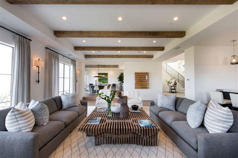 Brown And Grey Living Room Color Schemes Baci Living Room