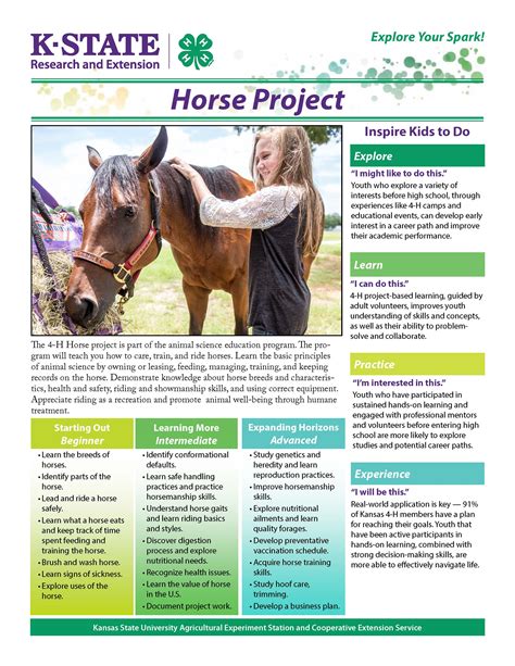 Horse Animals Projects Kansas 4 H Youth Development