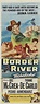 Border River (1954) Stars: Joel McCrea, Yvonne De Carlo, Pedro ...