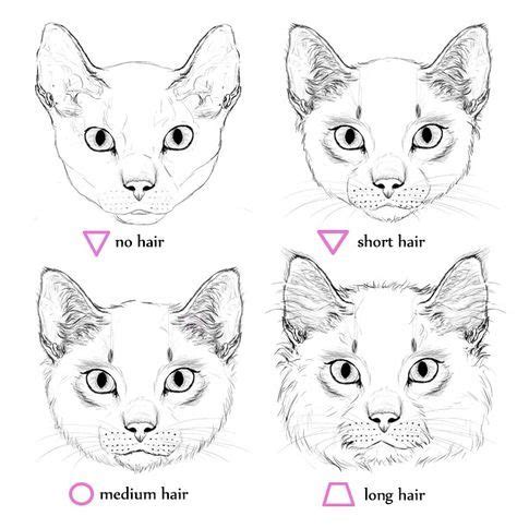 Here's a cat i drew when i tried drawing a dog. Cat head shape reference | Cat drawing tutorial, Cat face drawing, Animal drawings