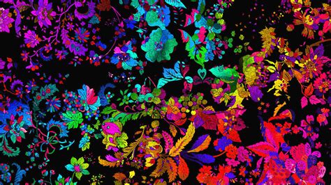 Colorful Leaves Flowers Trippy Art Black Background Hd Trippy