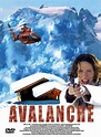 Avalanche - film 2001 - AlloCiné