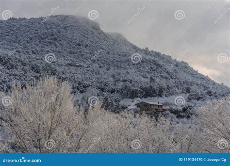 Snow Caped Mountain And Trees Stock Photo Image Of White Trees 119134470