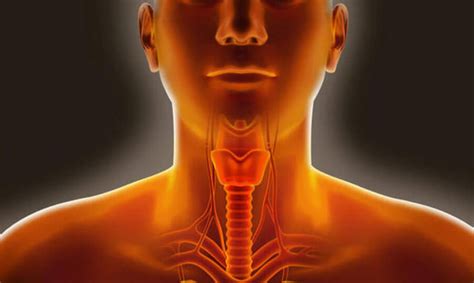 Causes Of Sore Throat Aprof Luke Tan