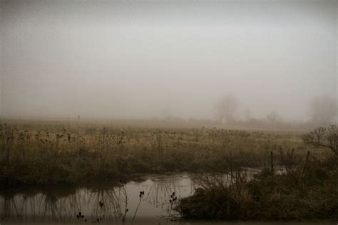 Foggy Marsh By Imemgee Film Photography Landscape Photography