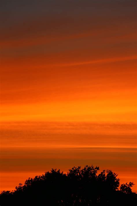 3840x2160px 4k Free Download Bushes Trees Sunset Sky Hd Mobile