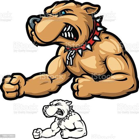 Pitbull Bodybuilder Stock Illustration Download Image Now Dog