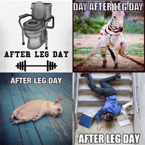 Leg Day Gymhumor Fitness Funny Funny Pinterest
