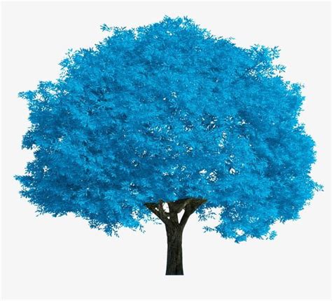 Blue Tree Png Abstract Backgrounds Blue Blue Clipart Blue Leaves