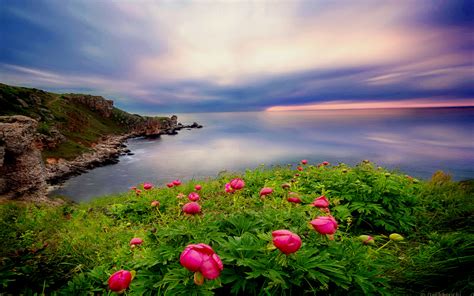 Choose from hundreds of free computer wallpapers. Beautiful Landscape Ocean Coastal Coast Green Vegetation ...