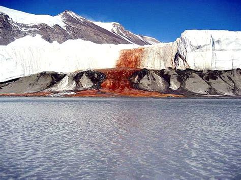 Blood Falls In Antarctica Earth Chronicles News