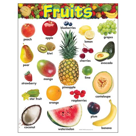 Knowledge Tree Trend Enterprises Inc Fruits Learning Chart 17 X 22