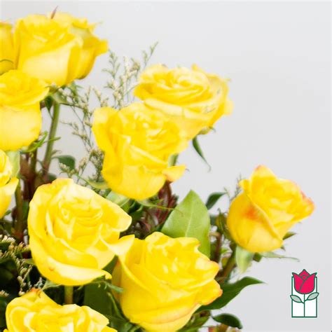 Sold Out Until 512 Beretanias 2 Doz Extra Long Stem Yellow Rose
