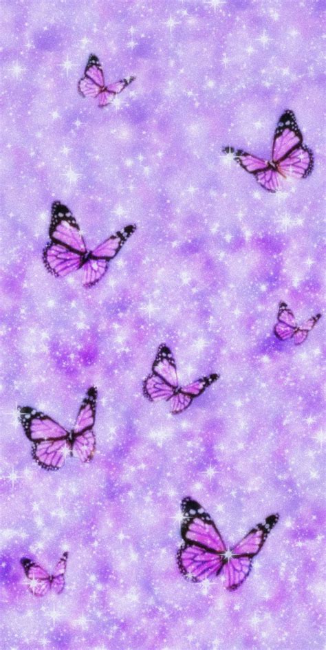Full 4k Collection Of Amazing Butterfly Wallpaper Images Top 999