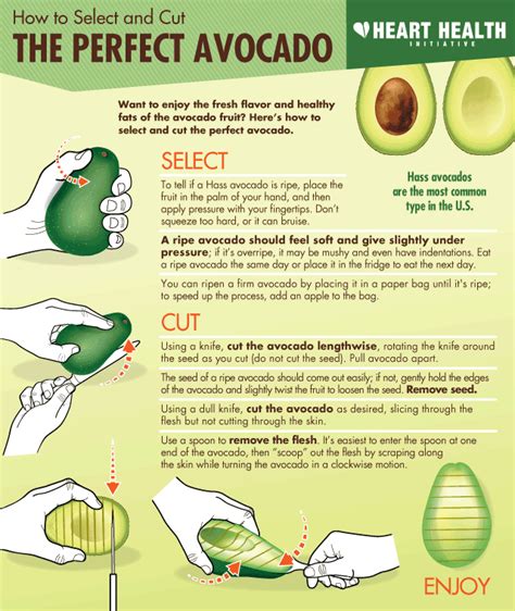15 Delicious Ways To Eat Avocados Bites For Foodies