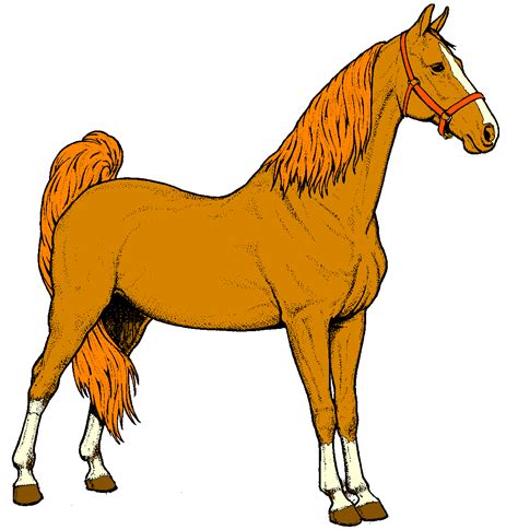 Clip Art Horse Cartoon Clip Art Library