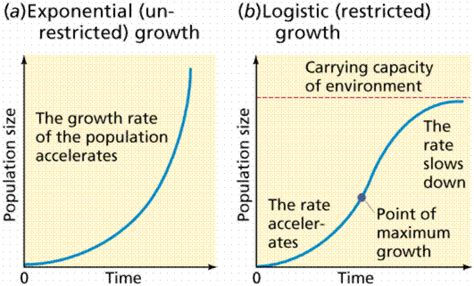 With The Help Of A Graph Explain The Population Growth Curve When