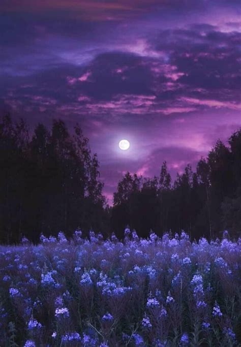 Night Sky Wallpaper Purple Wallpaper Landscape Wallpaper Scenery