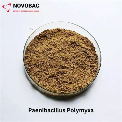 Paenibacillus Polymyxa Soil Probiotics For Plants Novobac