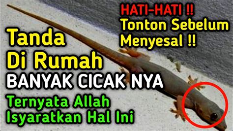 Waspadalah Tanda Rumah Banyak Cicaknya Allah Isyaratkan Hal Ini