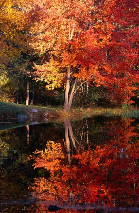 New England New Hampshire Image Gallery Lonely Planet Autumn