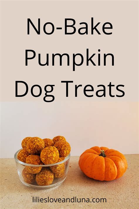 Peanut Butter And Pumpkin No Bake Dog Treats No Bake Dog Treats