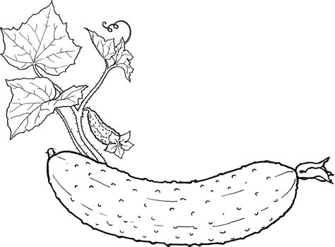 Free tropical coloring page for adults (self.coloringpages). Vegetable Coloring Pages for childrens printable for free