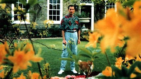 El Trasfondo De Las últimas Fotos De Freddie Mercury Antes De Morir