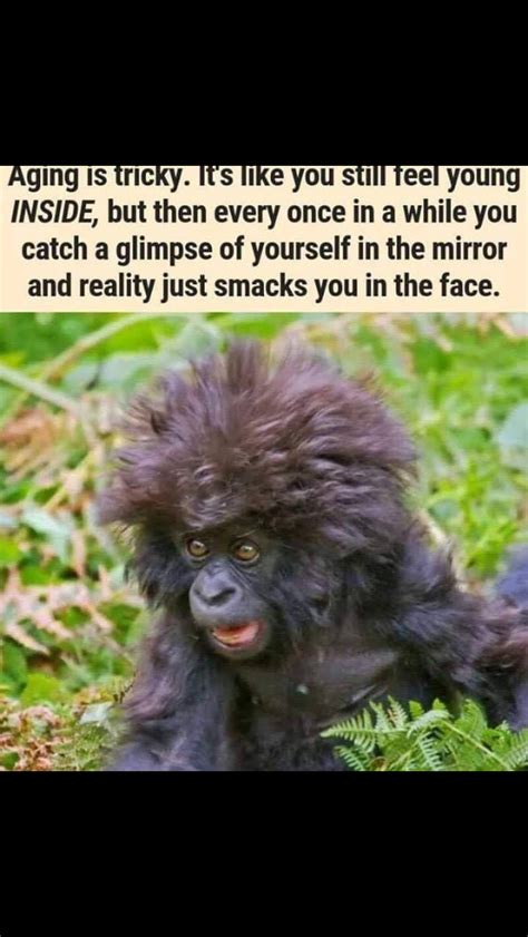 Pin By Diana Pardee On Funny And Interesting Sayings Monkey Memes