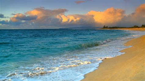 See The Most Beautiful Hawaii Beaches Hd Blu Ray Video Dvd