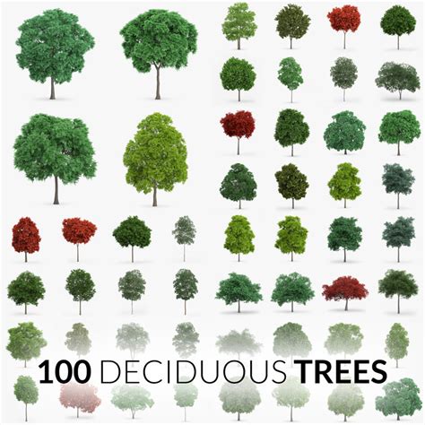 100 Trees Max