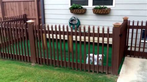 Build a dog run or pet area. BACKYARD DOG KENNEL IDEA!!!! EASY DIY - YouTube | Diy dog ...