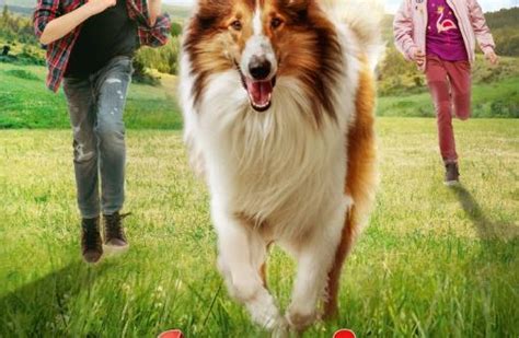 Lassie Eine Abenteuerliche Reise 2020 Film Cinemade