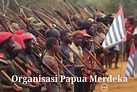 Organisasi Papua Merdeka (OPM), Sejarah, Penyebab & Konflik