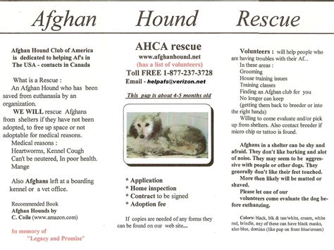 Ahca Rescue Tri Fold Brochure Afghan Hound Club Of America National