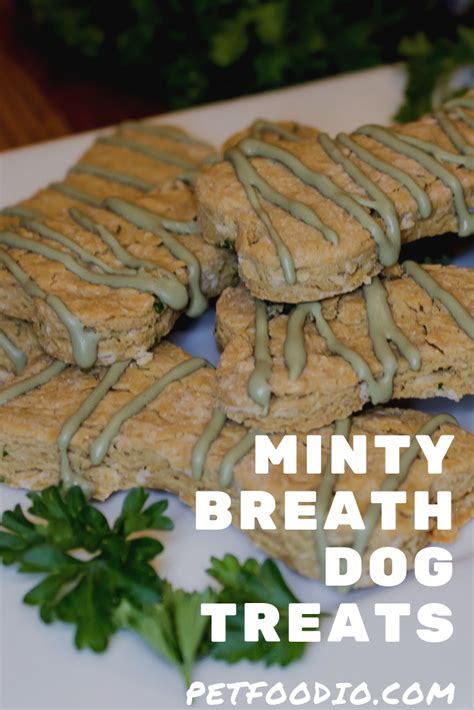 Minty Breath Dog Treats Dog Treats For Bad Breath Dog Food Recipes