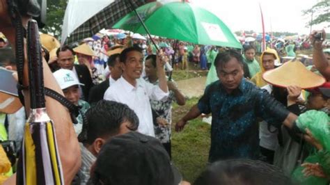 Info loker pertanian yang selalu update. Hujan Deras Iringi Jokowi Beri Bantuan Traktor ke Petani ...