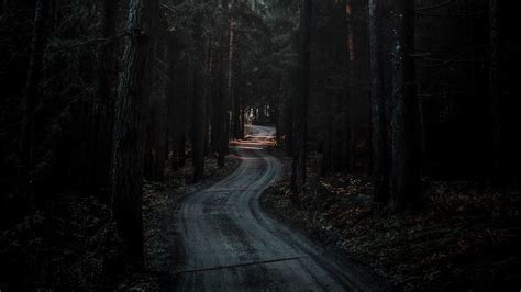 To find more wallpapers on itl.cat. Download wallpaper 3840x2160 forest, road, winding, dark ...