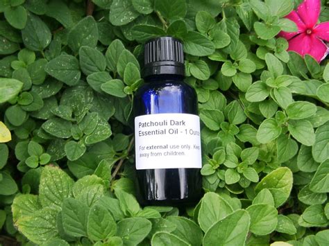 Patchouli Essential Oil Uses And Benefits