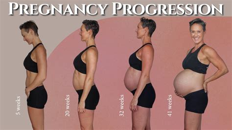 Pregnancy Baby Bump Progression Transformation Weeks Breast