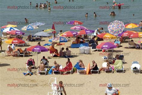 Beaches Golden Bay Sandy Summer Sunbathing Swimming Malta Photos