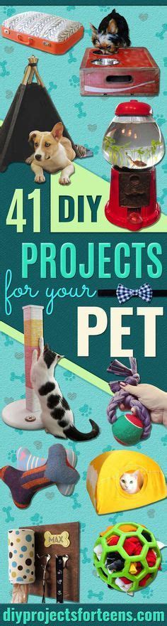 Diy Projects For Your Pet Cat And Dog Beds Treats Collars And Easy