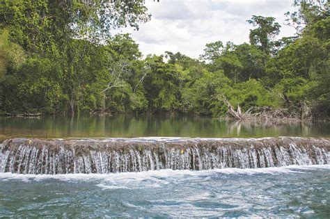 Reserva De La Biósfera Montes Azules Secretaría De Medio Ambiente Y