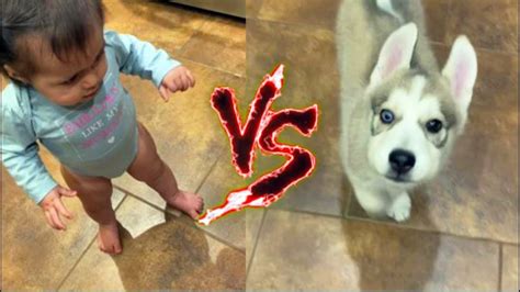 Puppies Vs Babies Puppies Vs Babies Childfree Sixteen Of The Most